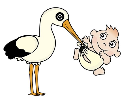Stork Baby